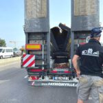 Nat Bau Logistik und Transport GmbH